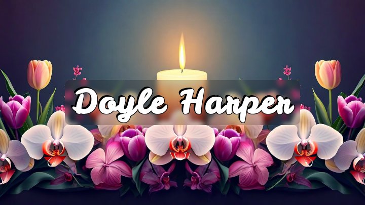 Doyle Harper, Mérida, Mexico